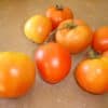 tomatoes 002 tomatoes 002