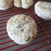 bestbiscuitsever_512x384 bestbiscuitsever_512x384