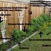 theyard