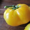 tomatoes2_512x384