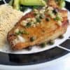 halibut halibut