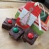 m&mmintfudge1 m&mmintfudge1