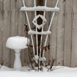 snow_512x384