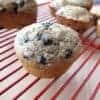 ninegrainblueberrymuffin