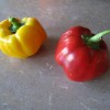 peppers_512x384