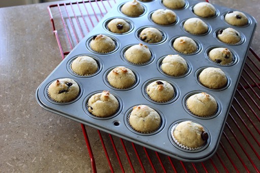 Mini muffin recipe