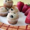 minimuffins5