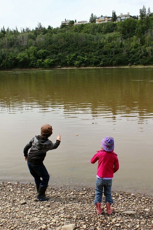 saskatoons8