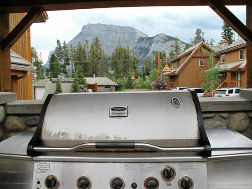 barbeque's in a common family picnic area