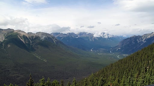 amazing view of mountains and green trees