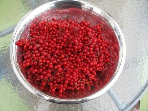 red cranberries in a large stainless bowl