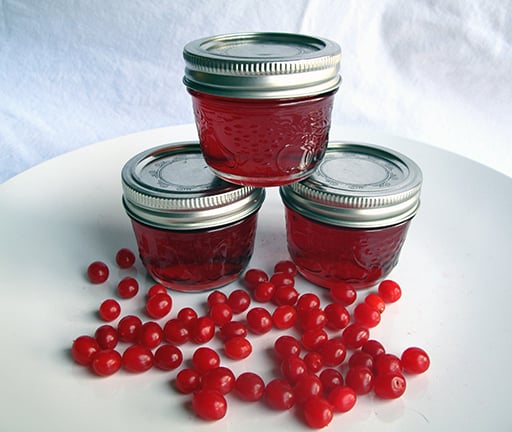 Highbush cranberry jelly in canisters with cover