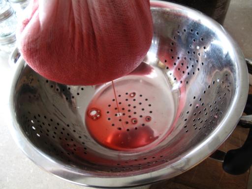lifting up the cheesecloth with the boiled cranberries inside