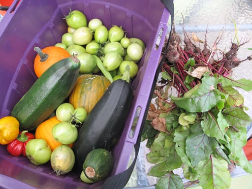 variety of fresh vegetables in a violet container