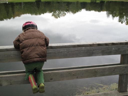 a kid in a wood fence looking down the lake