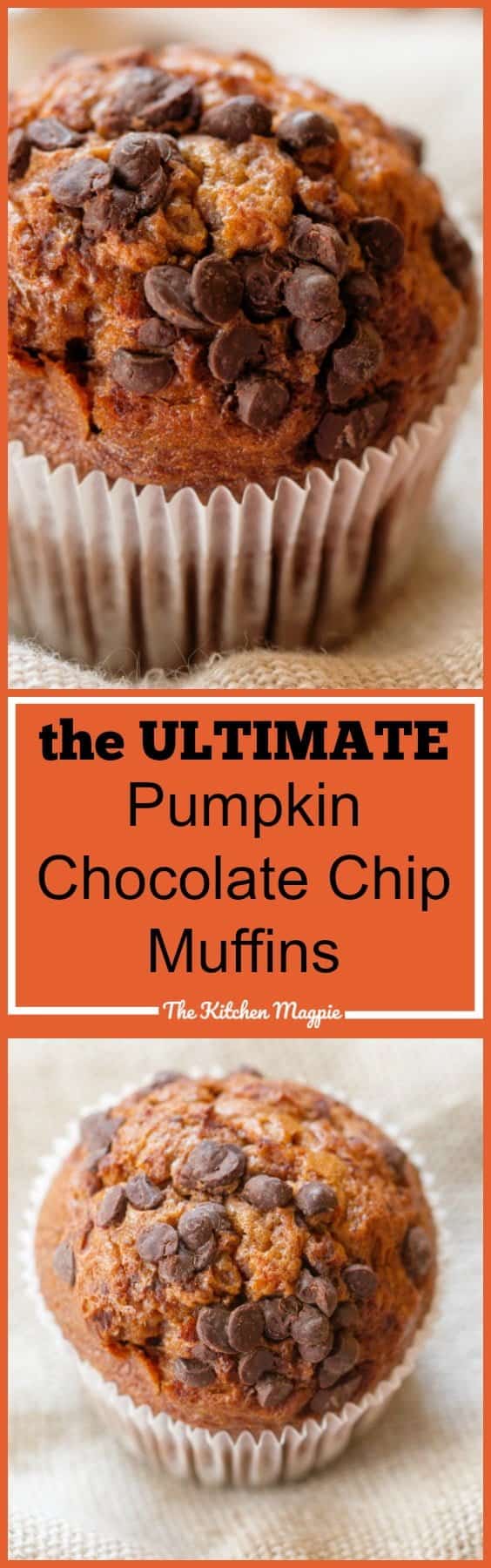 The Ultimate Chocolate Chip Pumpkin Muffins. #pumpkin #chocolate #muffin