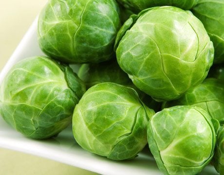 close up of fresh Brussels sprouts in a white plate