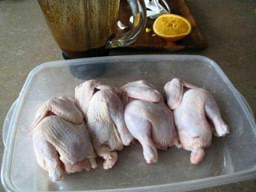 game hens placed into a seal-able container