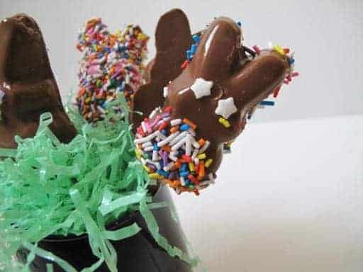 Colorful Chocolate Dipped Marshmallow Peeps on Sticks