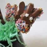 Close up Colorful Chocolate Dipped Marshmallow Peeps on Sticks in a black container