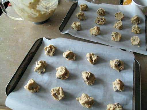 Hazelnut Cookie dough in parchment lined baking sheets