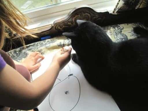 close up of little girl creating drawing and a black cat beside her