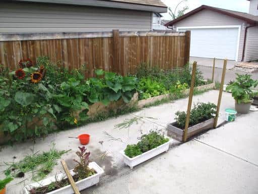 Beautiful flowerbeds and baskets on the yard