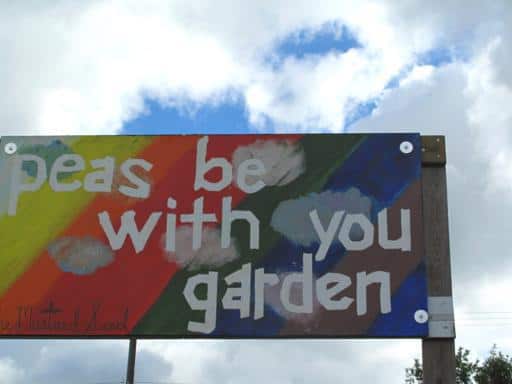 colorful signage of peas be with you garden