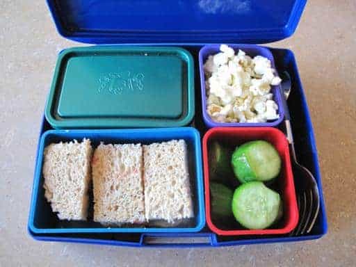 individual containers with cover inside a blue square lunch kit