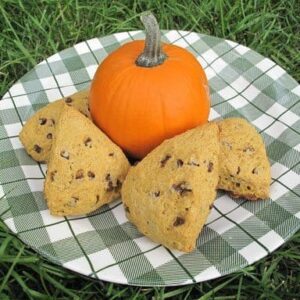 a pumpkin and 4 pieces of Pumpkin Spice Scones in a checkered green plate on the grass