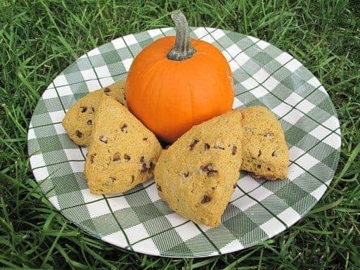 a pumpkin and 4 pieces of Pumpkin Spice Scones in a checkered green plate on the grass