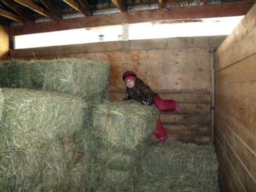 little girl inside the barn on the hay bales