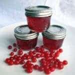 Highbush cranberry jelly in canisters with cover