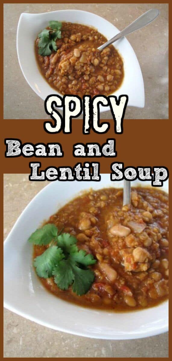 Spicy Bean and Lentil Soup