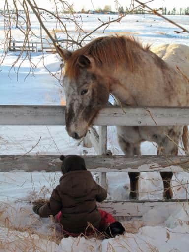 a horse staring at the young kid wearing brown coat