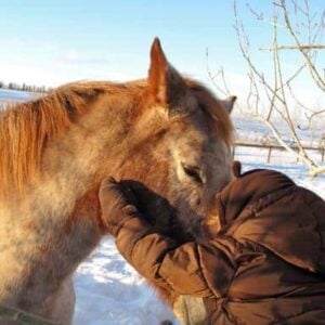 a brown horse and a kid wearing brown coat