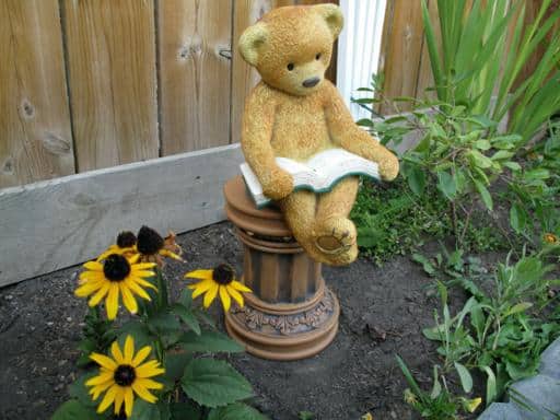Reading Mr Bear sitting in the flower bed
