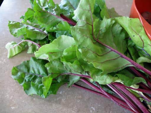 close up of fresh beet leaves