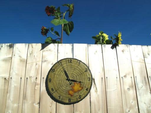 round yard clock on the fence