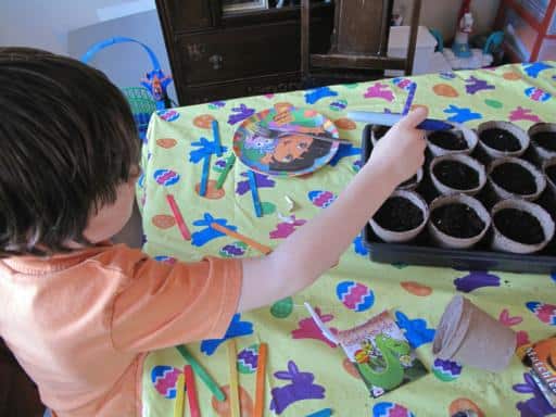 little boy adding the popsicle sticks label in each planting pots on the table