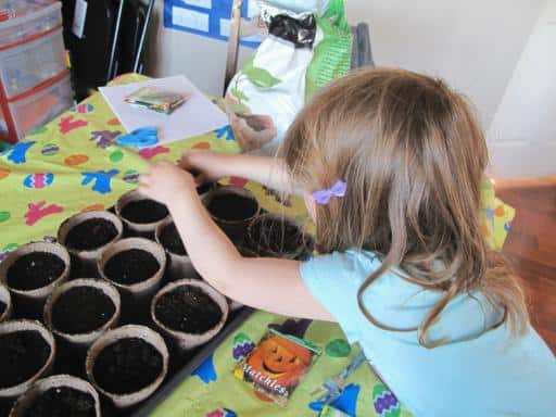 little girl adding the seeds to each planting pots