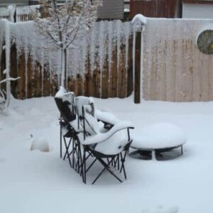 raspberries and chairs covered with snow