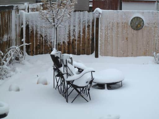 raspberries and chairs covered with snow