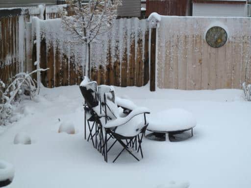 snow_512x384 raspberries and chairs covered with snow