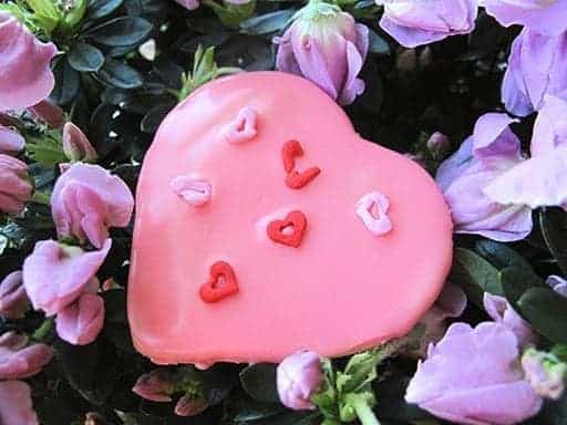Heart Shaped Pink Cherry Sugar Cookie on top of flowers