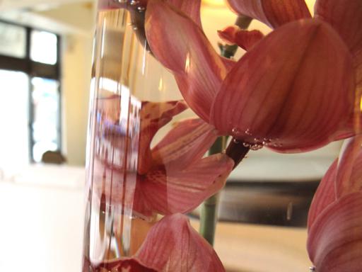 close up of orchids inside a glass with water