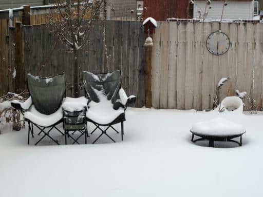 the backyard almost covered with snow