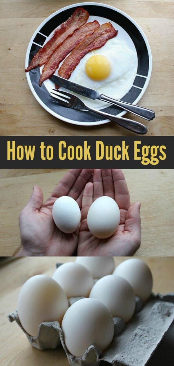 How to cook duck eggs and all about these deliciously large eggs! #ducks #eggs #cooking #breakfast #homesteading #duckeggs 