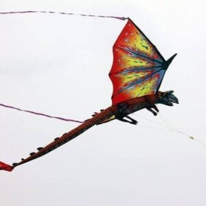 huge flying dragon kite