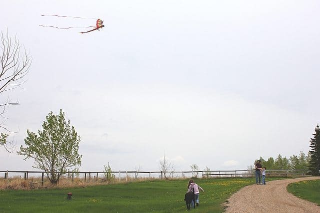 huge kite flying so high